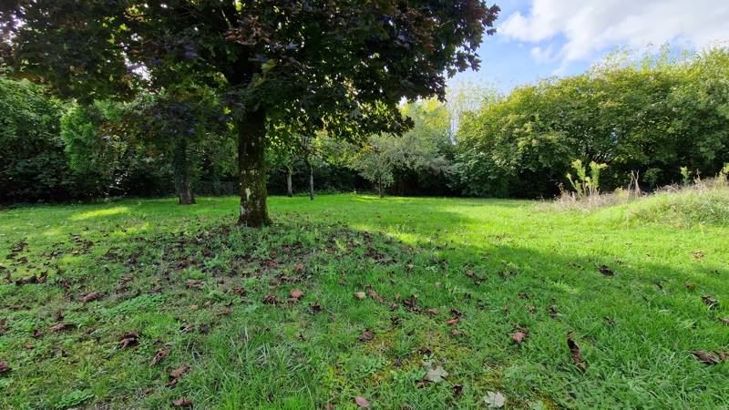 Vente Terrain LA COURONNE - -754 m² - (16400)