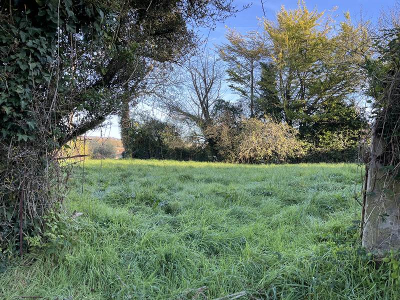 Vente Terrain ROULLET ST ESTEPHE - -815 m² - (16440)