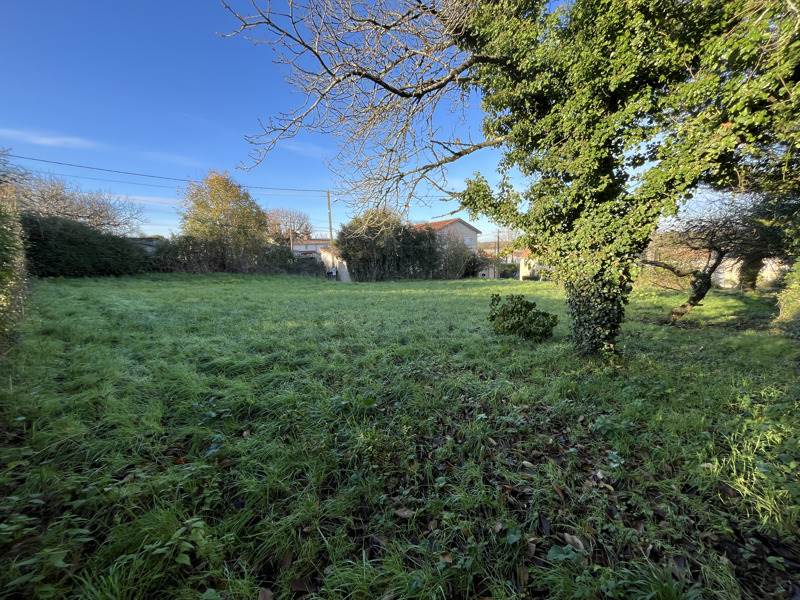 Vente Terrain ROULLET ST ESTEPHE - -815 m² - (16440)