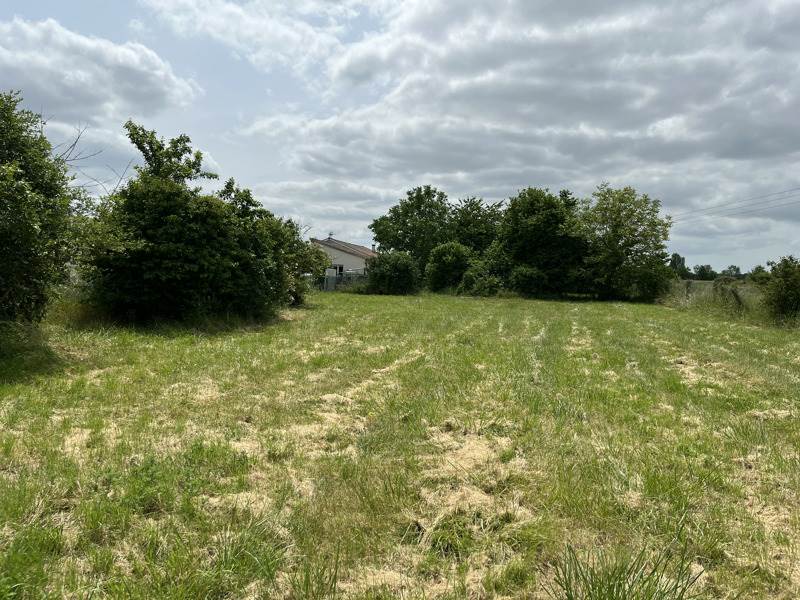 Vente Terrain LA COURONNE - -2005 m² - (16400)