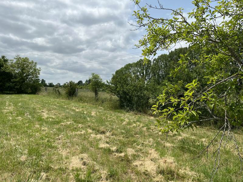 Vente Terrain LA COURONNE - -2005 m² - (16400)