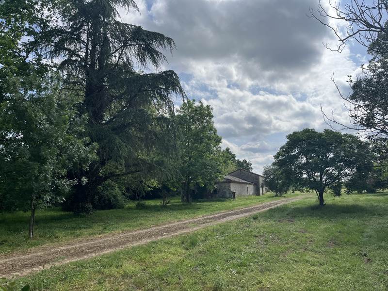 Vente Maison LAMONZIE ST MARTIN - 9 pièces -204 m² - (24680)