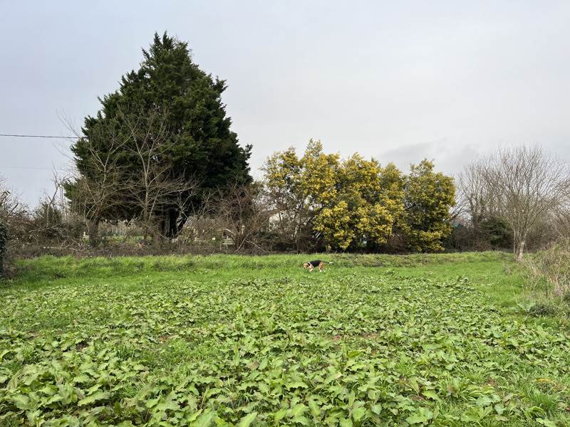 Vente Maison GARDONNE - 3 pièces -66 m² - (24680)