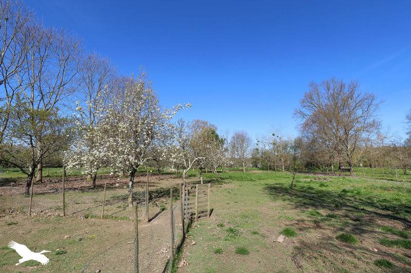 Vente Maison PRIGONRIEUX - 3 pièces -85 m² - (24130)