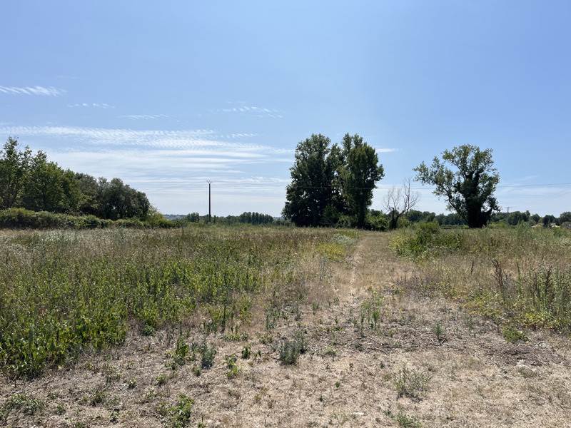 Vente Terrain PRIGONRIEUX - -13116 m² - (24130)