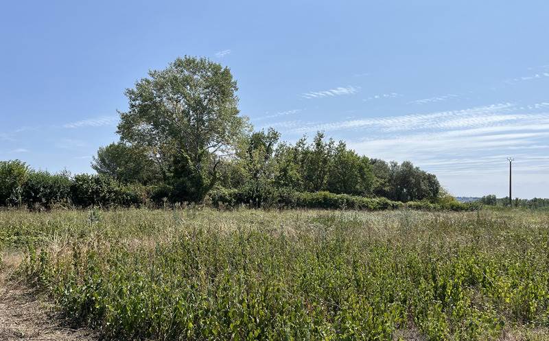 Vente Terrain PRIGONRIEUX - -13116 m² - (24130)