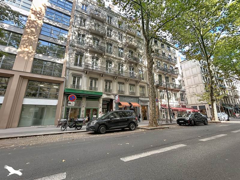 Vente Appartement LYON 06 - 4 pièces -74 m² - (69006)