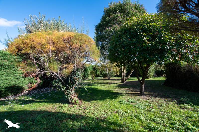 Vente Maison VENERQUE - 5 pièces -130 m² - (31810)