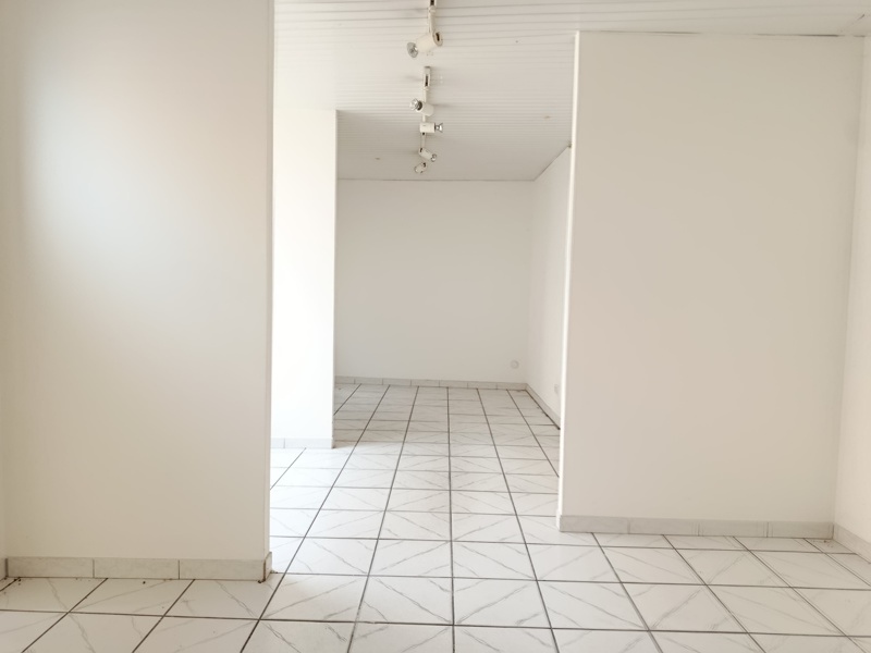 Vente Immeuble VENERQUE - -  60 m² - (31810)