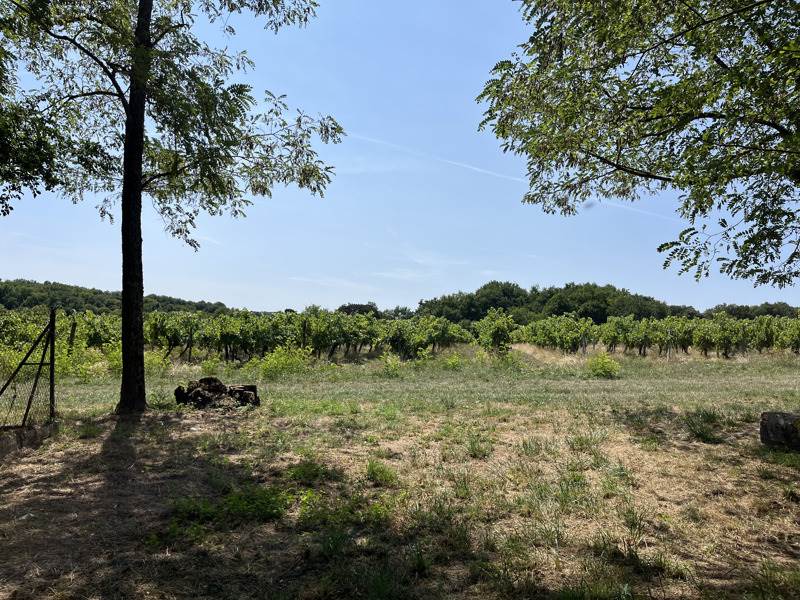 Vente Maison LOUZAC ST ANDRE - 2 pièces - - (16100)