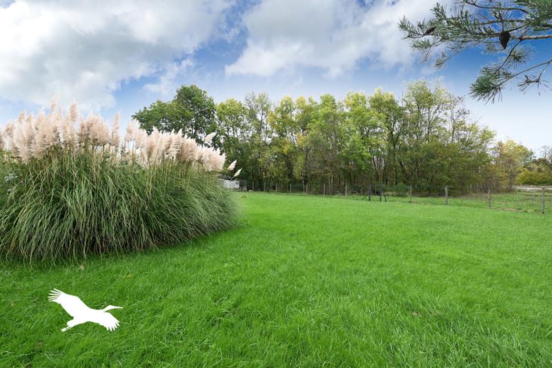 Vente Maison CHERVES RICHEMONT - 5 pièces -124 m² - (16370)