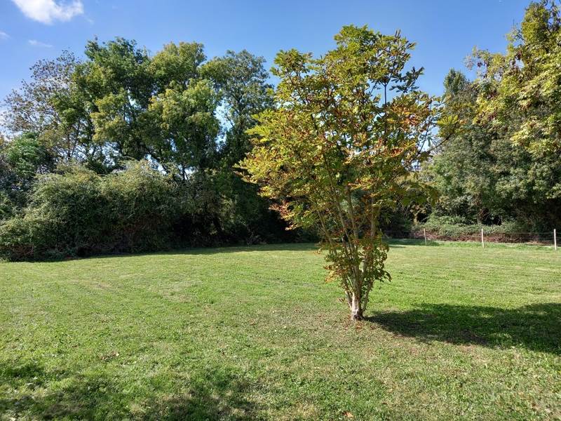 Vente Maison ST THOMAS DE CONAC - 3 pièces -70 m² - (17150)
