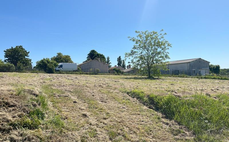 Terrain 4 pièces 1269 m²