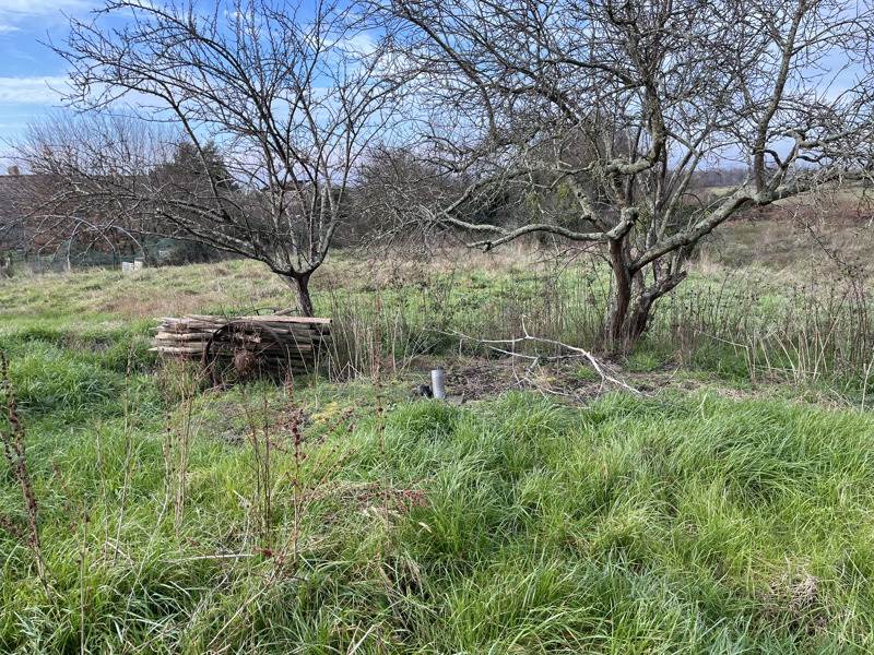 Vente Maison ST BONNET SUR GIRONDE - 3 pièces -70 m² - (17150)