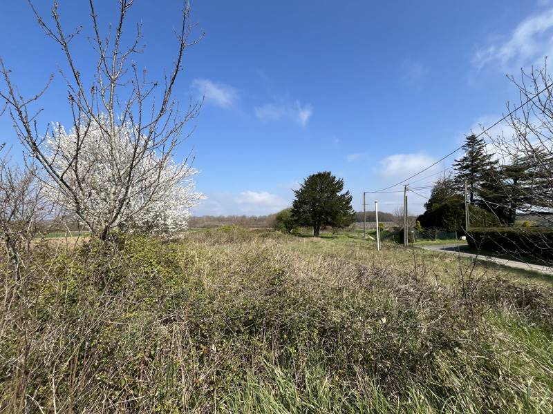 Vente Maison ST CIERS DU TAILLON - 4 pièces -120 m² - (17240)