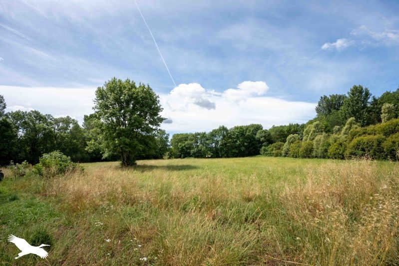 Vente Maison ST BONNET SUR GIRONDE - 6 pièces -160 m² - (17150)