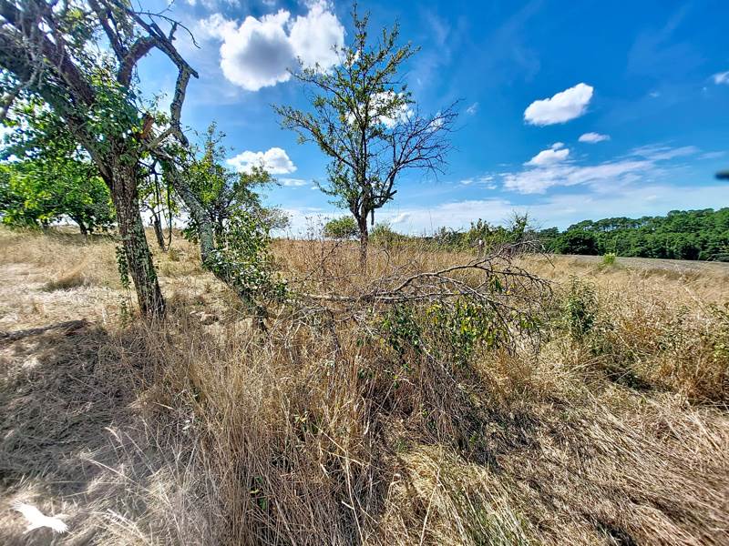 Vente Maison BOISREDON - 4 pièces -100 m² - (17150)