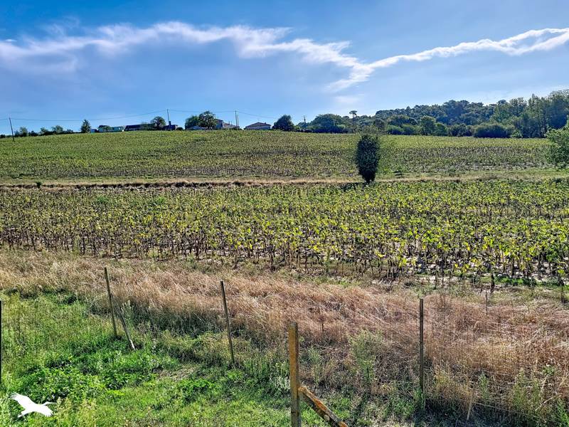 Vente Maison MIRAMBEAU - 5 pièces -124 m² - (17150)