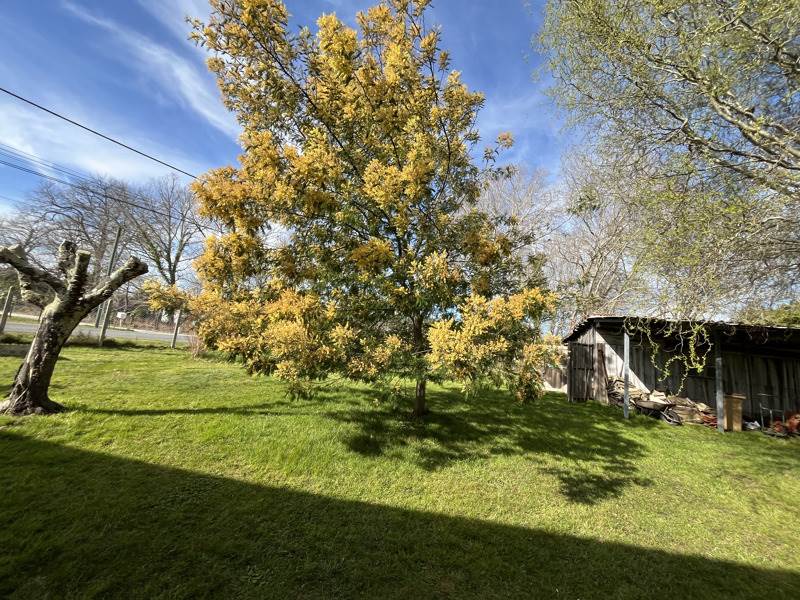 Vente Terrain MIOS - -985 m² - (33380)
