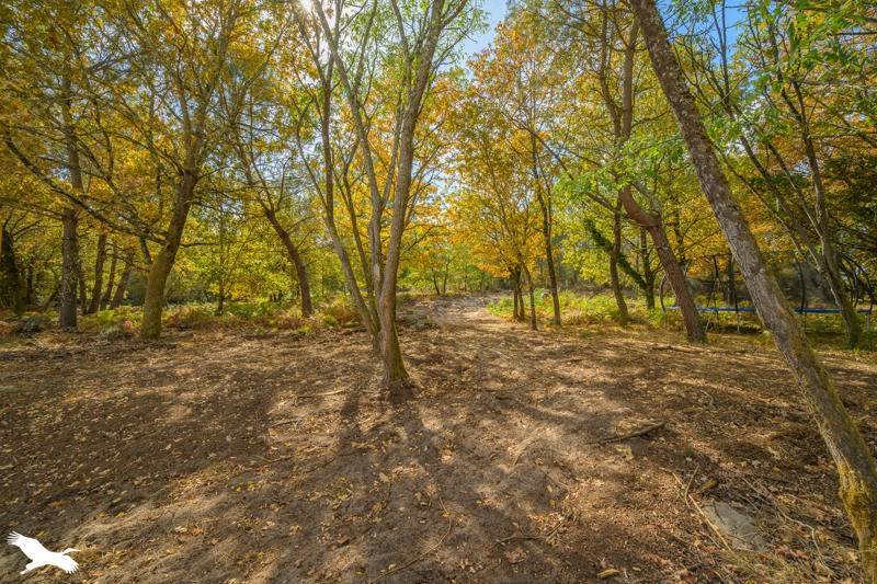 Vente Maison Mios - 11 pièces -250 m² - (33380)