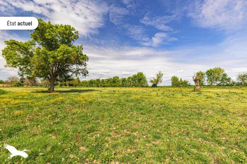 Vente Maison MORAGNE - 9 pièces -245 m² - (17430)