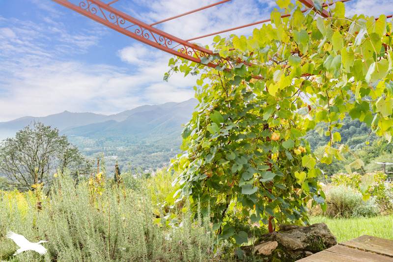 Vente Maison PRAYOLS - 5 pièces -149 m² - (09000)