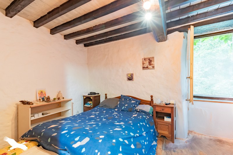 Maison  - 5 pièces    - 235 m² - ALZEN (09)