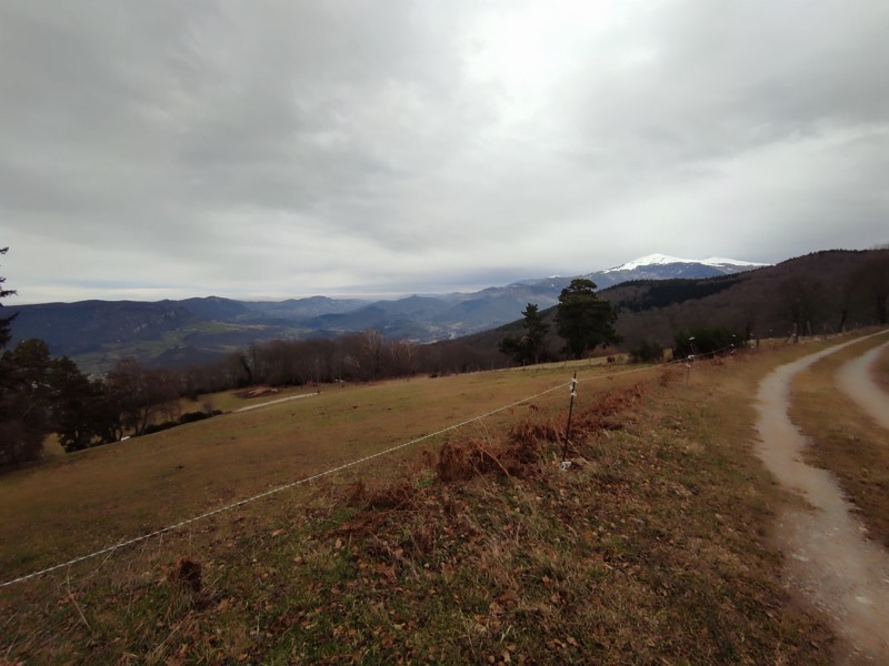 Vente Maison PRAYOLS - 5 pièces -22 m² - (09000)