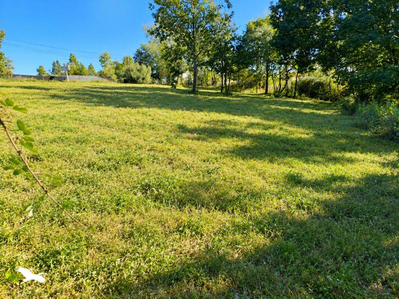 Vente Terrain Le Born - -1046 m² - (31340)