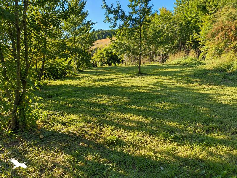 Vente Terrain Le Born - -1046 m² - (31340)