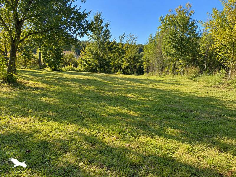 Vente Terrain Le Born - -1046 m² - (31340)