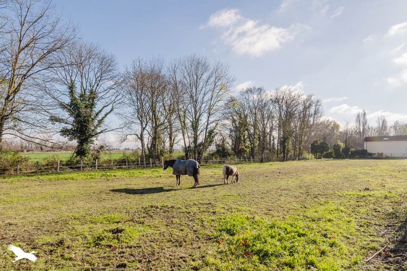 Maison Décines-Charpieu