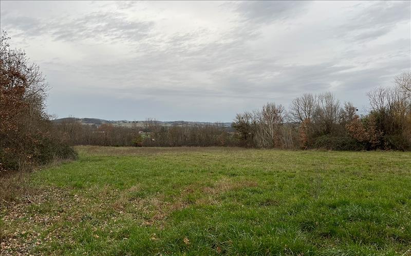 Vente Terrain BRIATEXTE - -10404 m² - (81390)