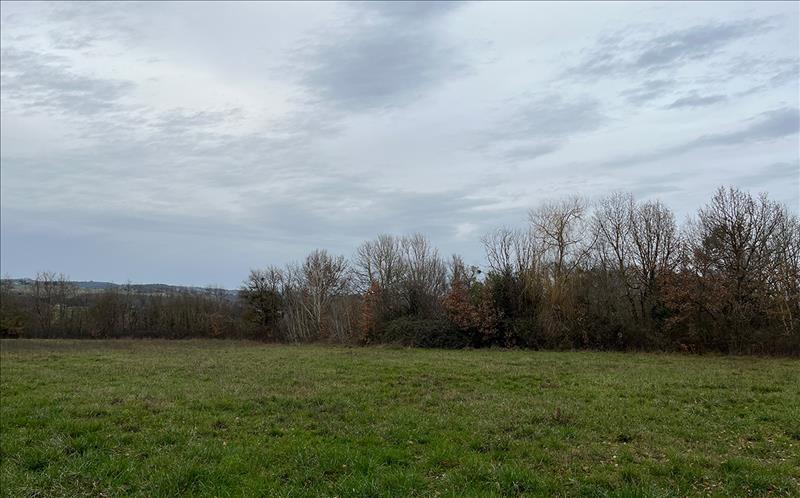 Vente Terrain BRIATEXTE - -10404 m² - (81390)