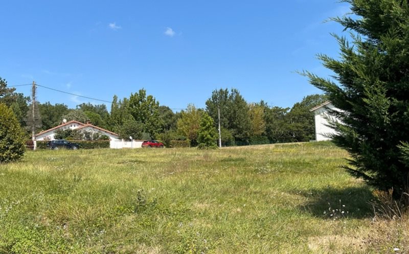 Vente Terrain BUSQUE - -1250 m² - (81300)