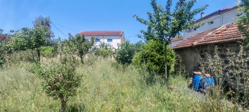 Vente Terrain GRAULHET 81300  827 m²