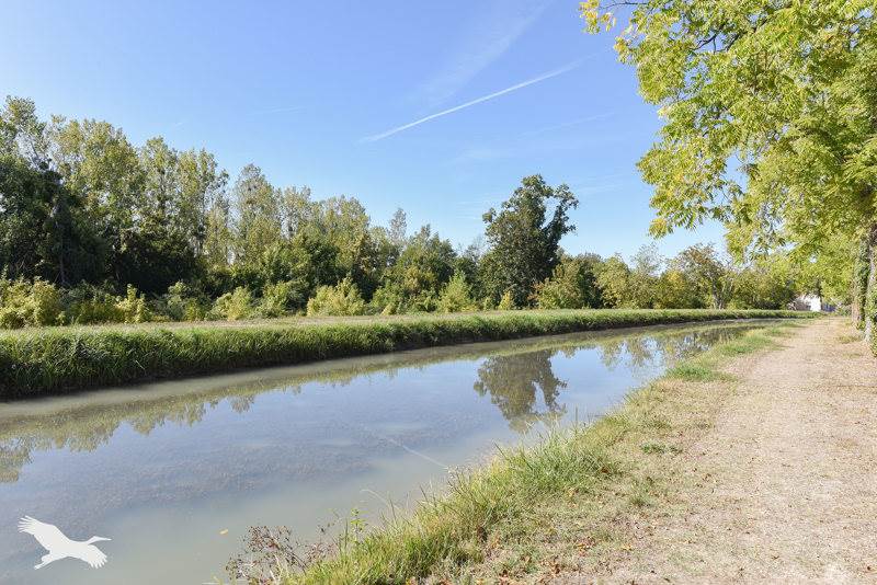 Vente Maison Noyers-sur-Cher - 4 pièces -133 m² - (41140)