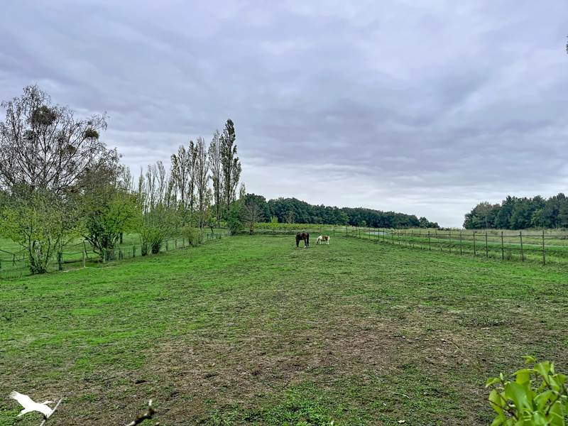 Vente Maison Mareuil-sur-Cher - 4 pièces -123 m² - (41110)
