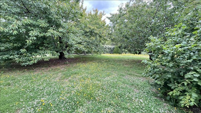 Vente Terrain ST AIGNAN - -2163 m² - (41110)