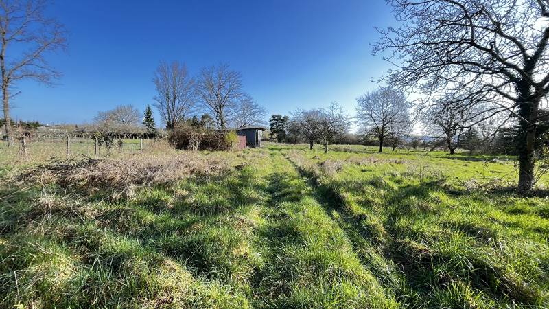 Vente Terrain NOYERS SUR CHER 41140  3965 m²