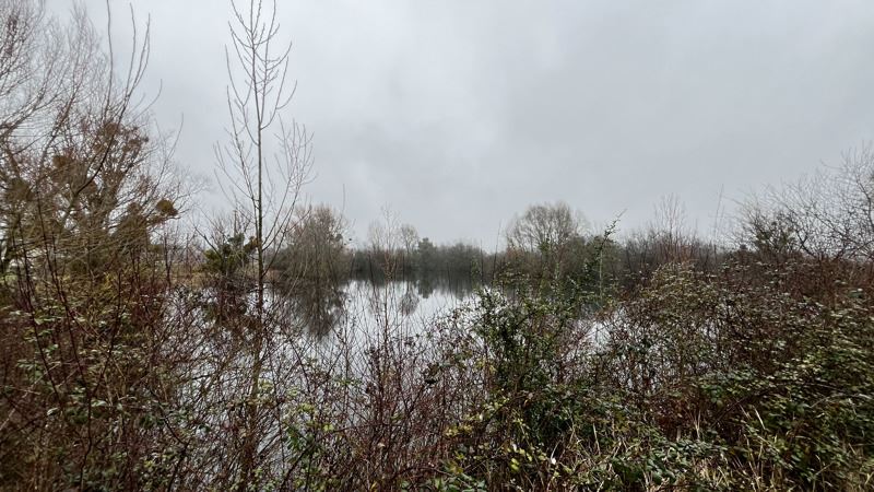 Vente Terrain NOYERS SUR CHER 41140  17737 m²