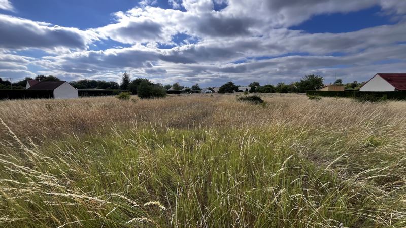 Vente Terrain THESEE - -2885 m² - (41140)