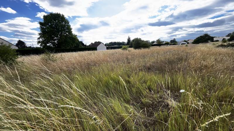 Vente Terrain THESEE - -2885 m² - (41140)