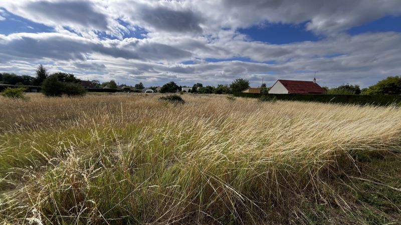 Vente Terrain THESEE - -2885 m² - (41140)
