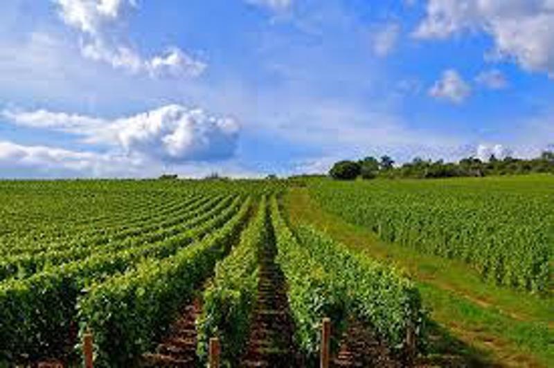Vente Terrain ST AIGNAN 41110  