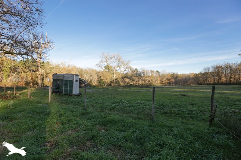 Vente Maison BALIZAC - 8 pièces -323 m² - (33730)