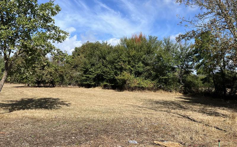 Terrain 4 pièces · à Noaillan · 76 160 €