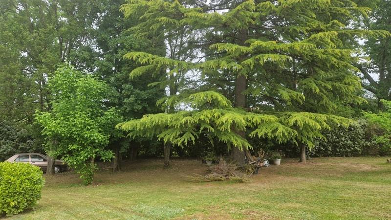 Vente Maison LA REOLE - 4 pièces -110 m² - (33190)