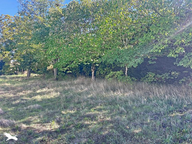 Vente Maison Bommes - 5 pièces -140 m² - (33210)
