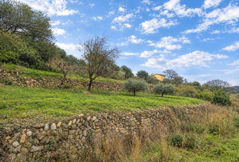 Vente Terrain Roquebrun - -910 m² - (34460)